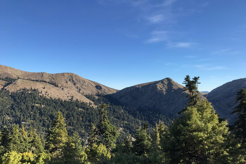 Athens - Flabouritsa Gorge Hike with Transfer and Guide