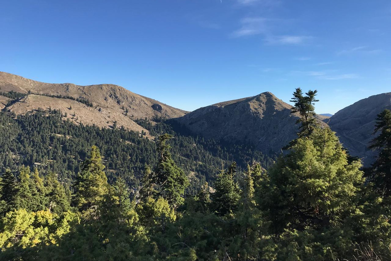 Athens - Flabouritsa Gorge Hike with Transfer and Guide