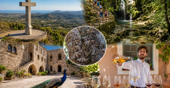 Rhodes: Filerimos & Valley of the Butterflies & Wine Tasting