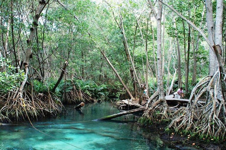 From Merida: Celestún biosphere, boat ride, and Beach day Celestún biosphere, boat ride, mangroves and beach day