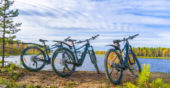 Rovaniemi: Lapland scenic e-bike tour