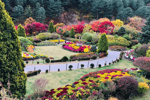 Séoul : Visite de l&#039;île de Nami/jardin du matin calme (+vélo sur rail)Visite de groupe, rendez-vous à Myeongdong