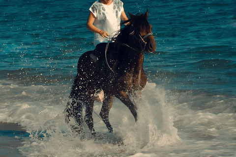 Side: Horseback Riding Adventure with Hotel Pickup