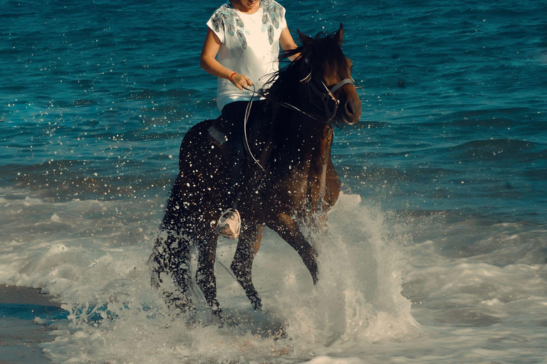 Side: Horseback Riding Adventure with Hotel Pickup