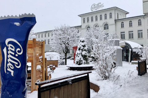 Depuis Genève : Excursion d&#039;une journée pour déguster le chocolat et le fromage de la GruyèreDepuis Genève : Excursion d&#039;une journée pour déguster du chocolat et du fromage 