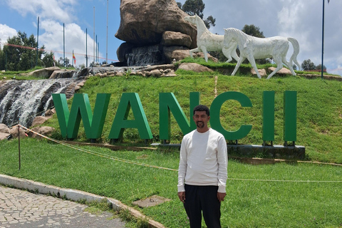From Addis Ababa: Wonchi Crater Lake with Boat Ride