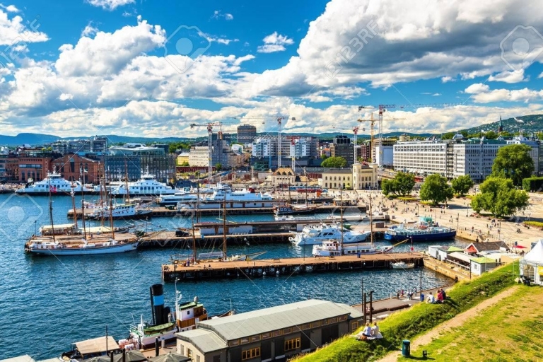 Top Oslo Tour (stad, bazaar, geschiedenis, cultuur, natuur, zee)