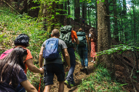 Batumi: Hike and Swim in Mtirala National Park Batumi: Extreme Escape – ATV, Parasailing & Buggy