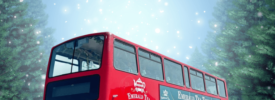 Wexford : Thé de l'après-midi festif à bord du Lady Patricia