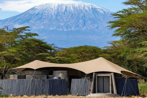 Visite guidée de la ville de Nairobi