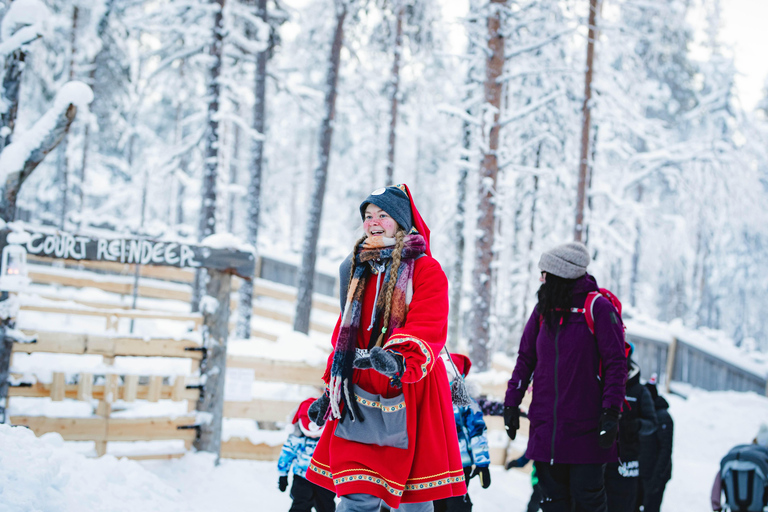 Levi：Arcandia，精灵法庭/日光和公园/黑暗精灵法庭：3 小时体验和公园之旅