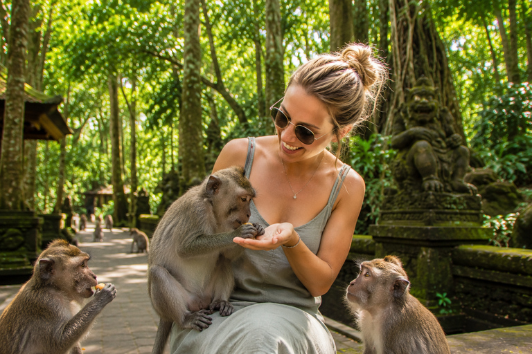 Bali: Monkey Forest, & Temple, With Waterfall, Swing Tour Private Tour Entry Ticket