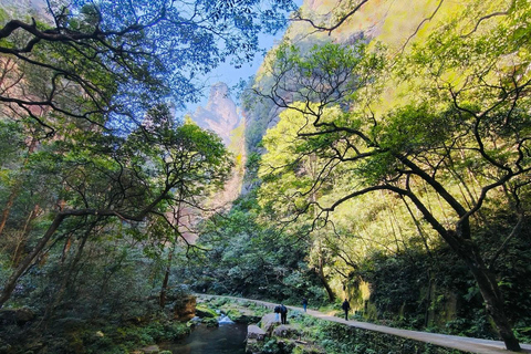 Private Zhangjiajie Tour: Elevator, Avatar, Stream & Valley Opt C: Private Guide & Transfer – Downtown