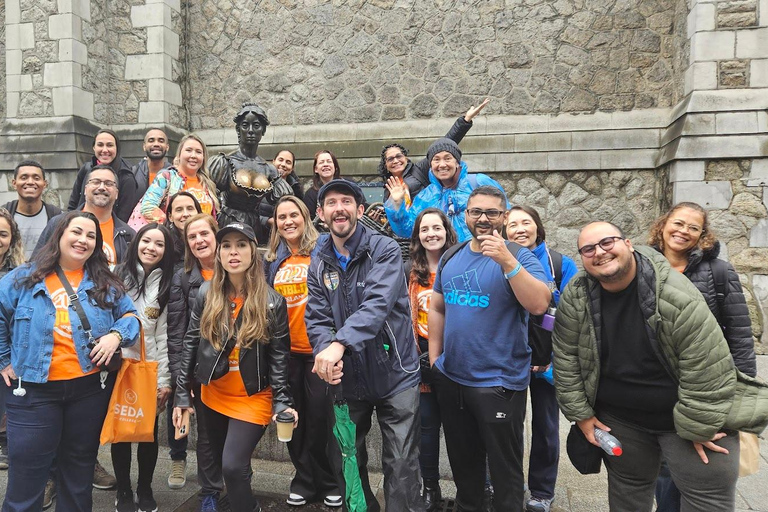 Pub Crawl Walking Tour Through the Heart of Irelands Capital