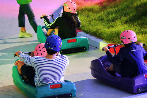 Luge Racing, Alpaca World and Peach Picking tour from Seoul Group tour from Dongdaemun