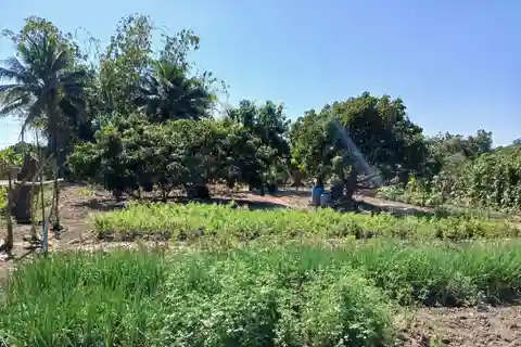 Chiang Mai : Thai Cooking in Farm with a Local Train Trip