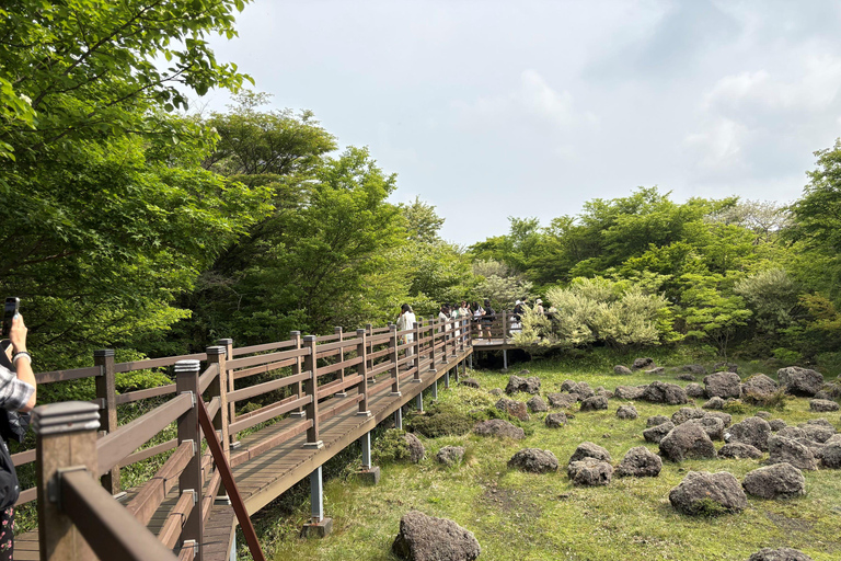 Jeju: Small Group Tour w/Pink Muhly & Tangerine Picking