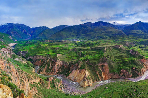 Arequipa:Całodniowa wycieczka do Kanionu Colca z transferem do Puno