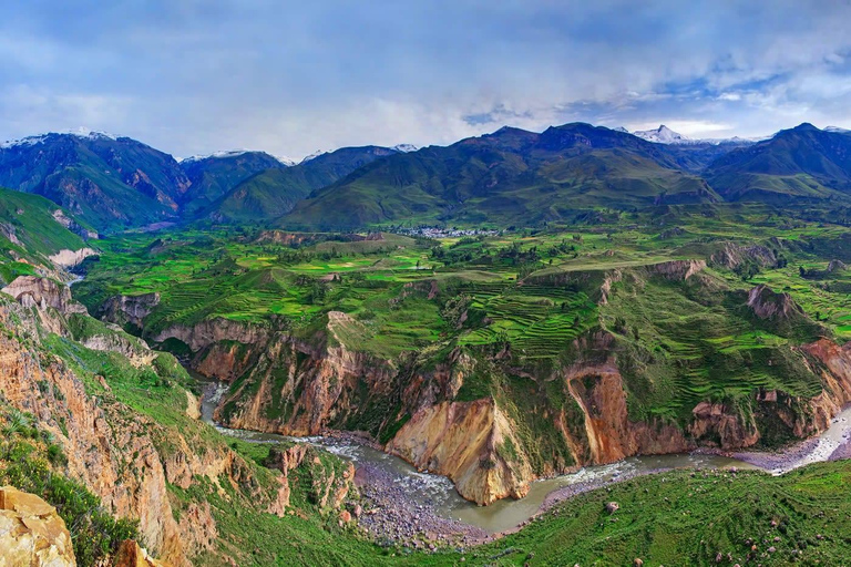 Arequipa : visite d'une jounée au Canyon de Colca avec transfert à Puno