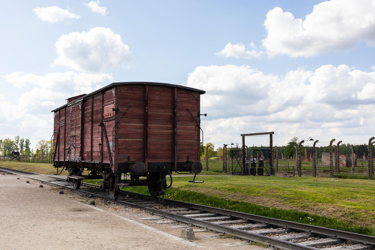 Vanuit Krakau: Auschwitz-Birkenau rondleiding met vervoer