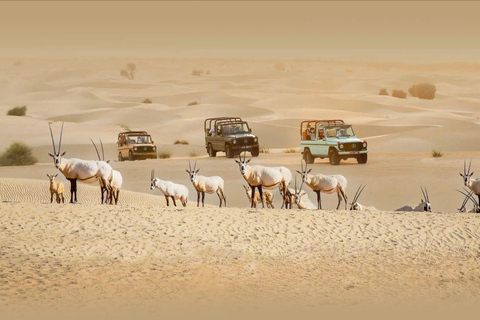 Doha: Desert Safari Tour with Wildlife Experience & Transfer