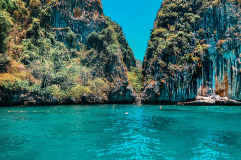 Phuket: Phi Phi, Maya Bay Include Transfer & Sea View Lunch Phi Phi Island: Exclude Hotel Roundtrip Transfer