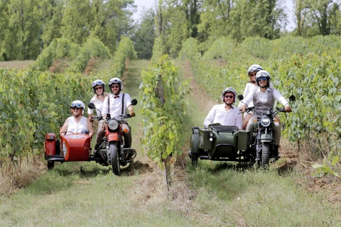 2 in 1 - Visit of Bordeaux and excursion in a vineyard 4h30 - Bordeaux and Médoc
