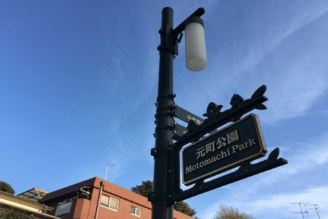 Yokohama: Yamate District & Port History Walking Tour