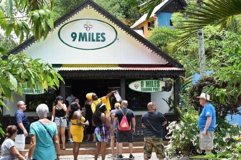 Montego Bay: Bob Marley Tour to 9 Mile, St. Ann Private Tour
