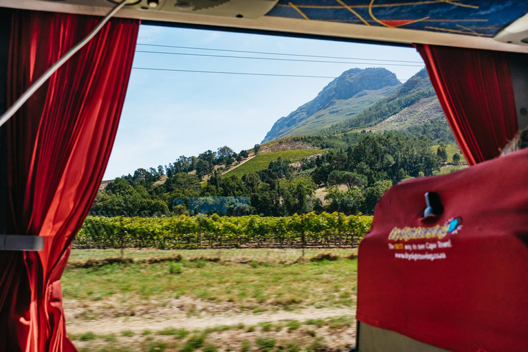 Vanuit Kaapstad: Wijntour door 3 regio's met 3 landgoederen, 15 wijnenVanuit Kaapstad: Wijnreis door 3 regio's met 3 landgoederen, 15 wijnen