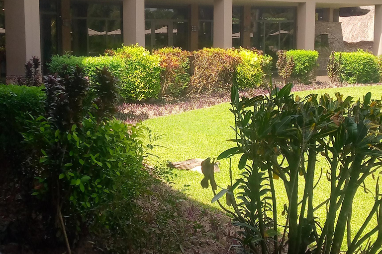 2 Days Eastern And Volta Region Experience