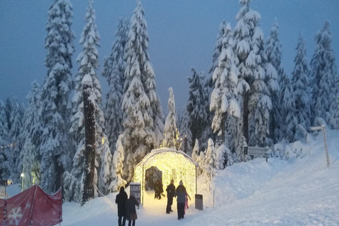 Vancouver Capilano Canyon luz e pico do Natal em Grouse