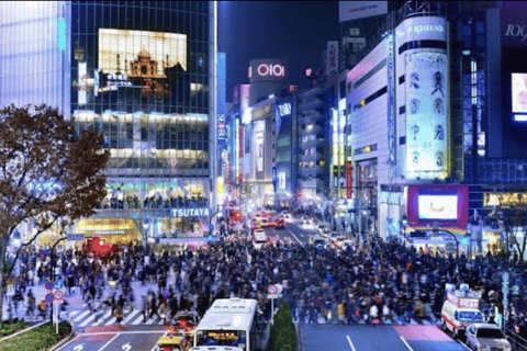 Tokyo: Private City Tour with Tokyo TeamLab Planets.