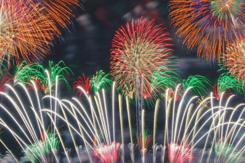 From Tokyo: Day Tour to Tonegawa Grand Fireworks Festival - Image 2
