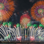 From Tokyo: Day Tour to Tonegawa Grand Fireworks Festival