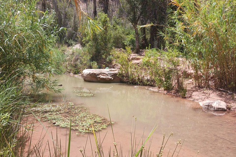 Agadir: Paradise Valley Guided Hike and Swim Day Trip
