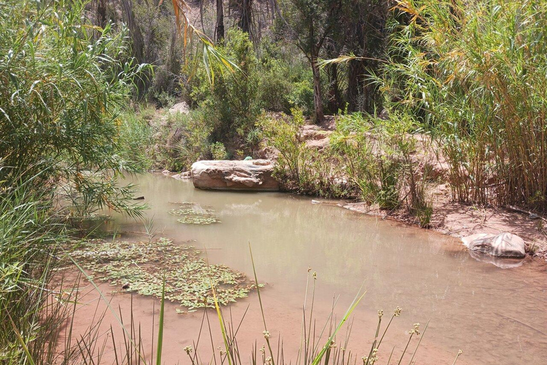 Agadir: Paradise Valley Guided Hike and Swim Day Trip