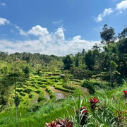 Lombok: Tetebatu Walking Tour with Waterfall & Farm Visit