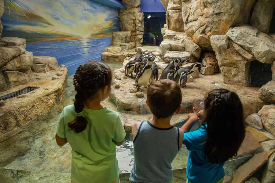Galveston: Moody Gardens: Eintrittskarte. Foto: GetYourGuide
