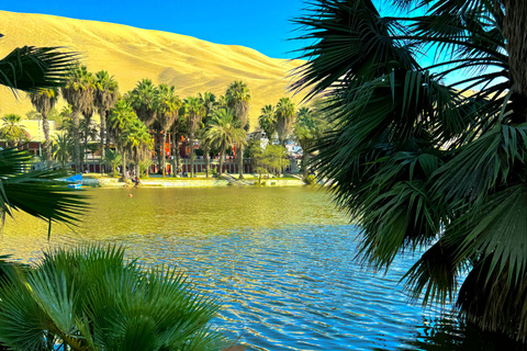 En Ica: Buggies 4x4 + sandboarding en el oasis de la huacachina