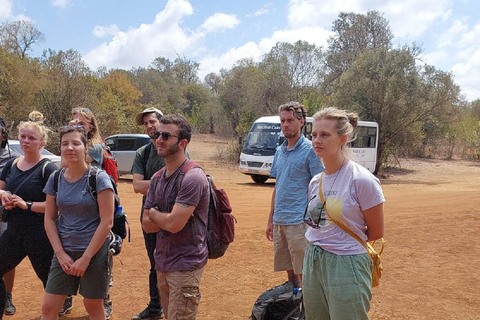 Nairobi: Caminhada pela Floresta Ngare Ndare e Canopy WalkNairobi: Caminhada pela Floresta Ngare Ndare e Passeio pela Copas das Árvores