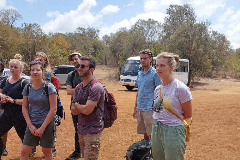 Nairobi: Caminhada pela Floresta Ngare Ndare e Canopy WalkNairobi: Caminhada pela Floresta Ngare Ndare e Passeio pela Copas das Árvores