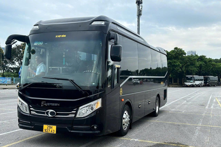 Hanoi: Aurora Halong Day Cruise - Lunch, Kayak, Swim, Cave from Halong: Cruise with Buffet, Kayaking (No transfer)