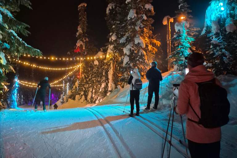 Vancouver: Whistler Day with Snowshoeing/Nordic Skiing