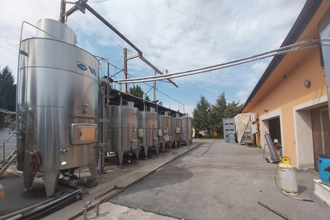 Varna: Winery Tour with Tasting & Aladzha Rock Monastery