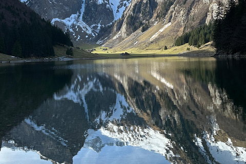 Zürich: Dagtocht Appenzeller bergen, meer &amp; kaasfabriek