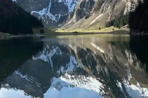 Zürich: Dagtocht Appenzeller bergen, meer & kaasfabriek