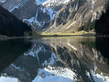 Zurich : Excursion d'une journée dans les montagnes, le lac et la fromagerie d'Appenzell