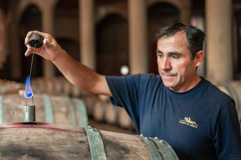 Viña Haras de Pirque Wine Experience