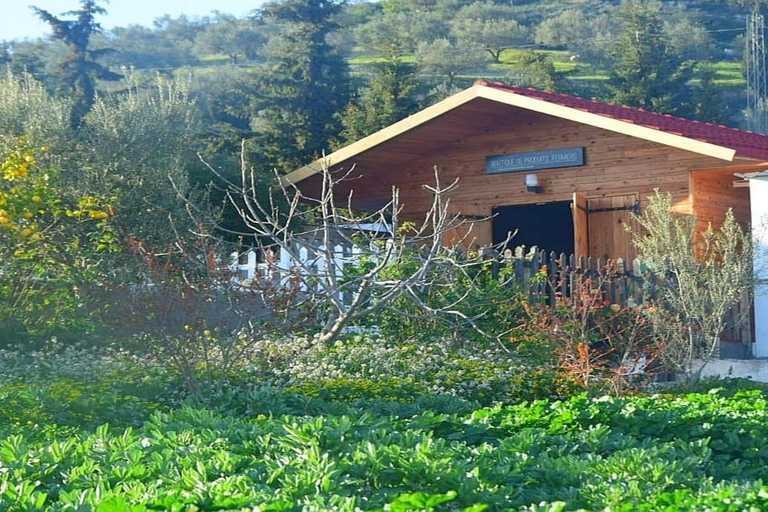 Beja: Spezialprodukte des Landes